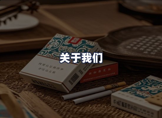 关于我们